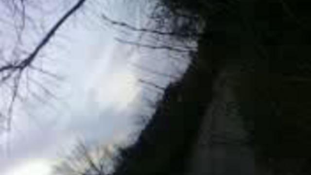 Дибилы у машины