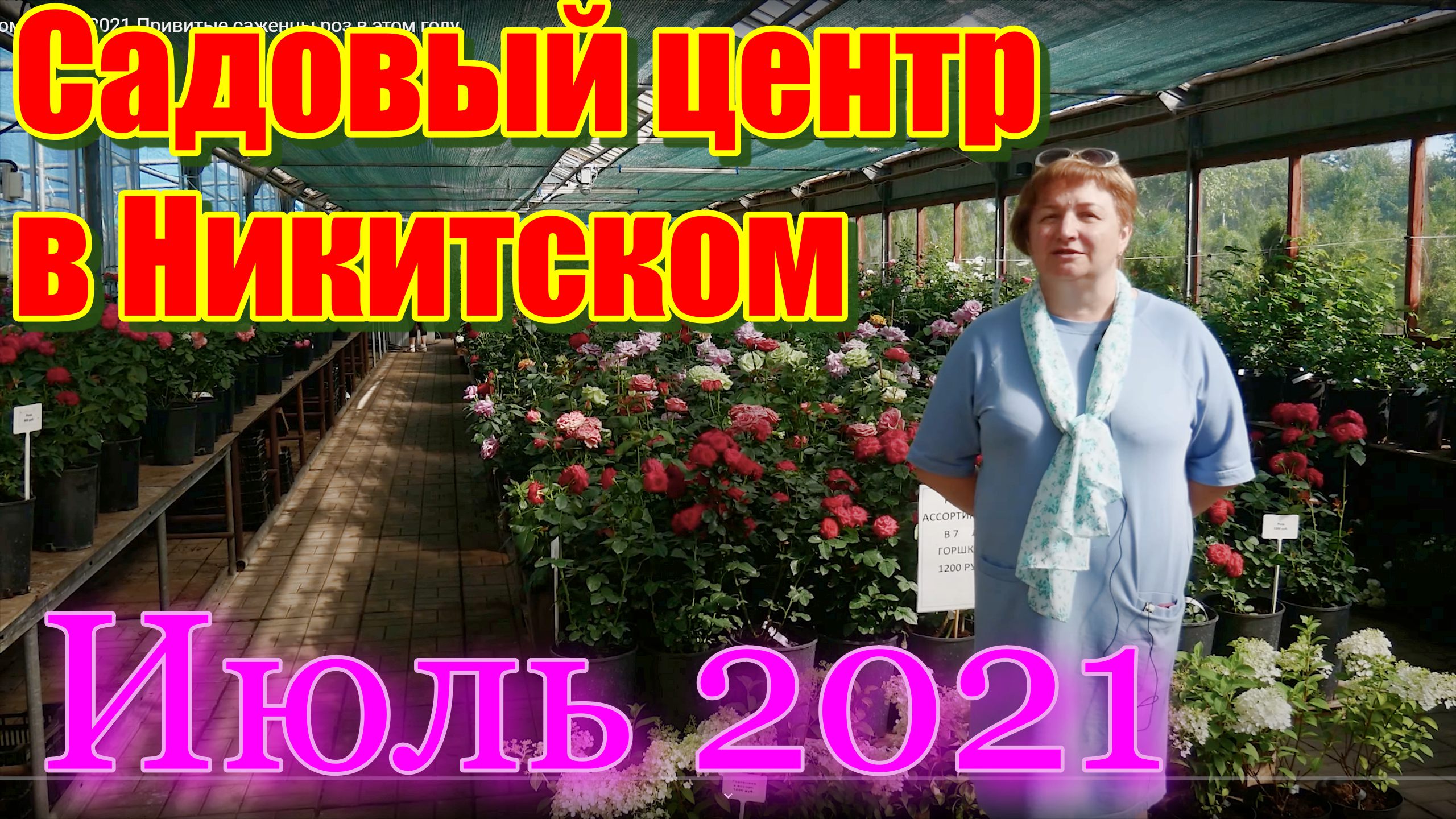 Садовый центр в Никитском Июль 2021.Привитые саженцы роз в этом году смотреть онлайн