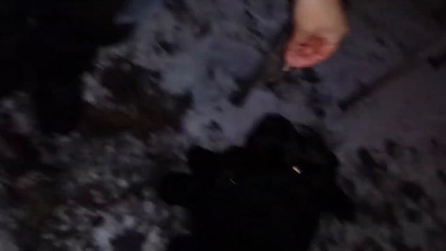 Разделка курицы на шашлык (от канала ГЕОПРАКТИКА) смотреть онлайн