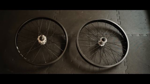 2021 BSD ALVX  DREAM BUILD