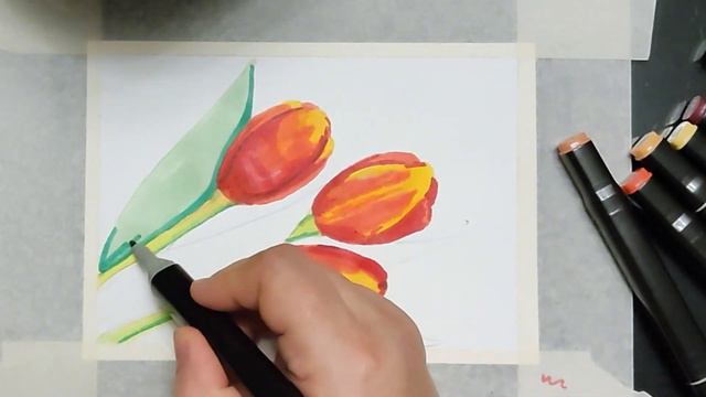 Тюльпаны… Такие милые весенние цветы… смотреть онлайн