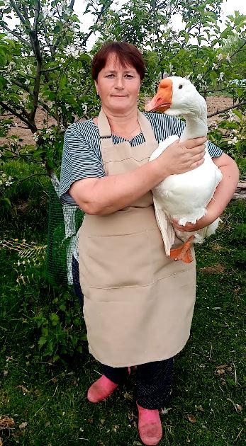 ЛИНДА - самый дружелюбный гусь. смотреть онлайн