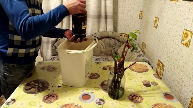 Виноград.Укоренение черенков винограда в грунте - 5 смотреть онлайн