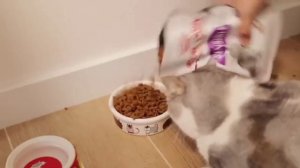 one two сборник короче говоря я кто-то