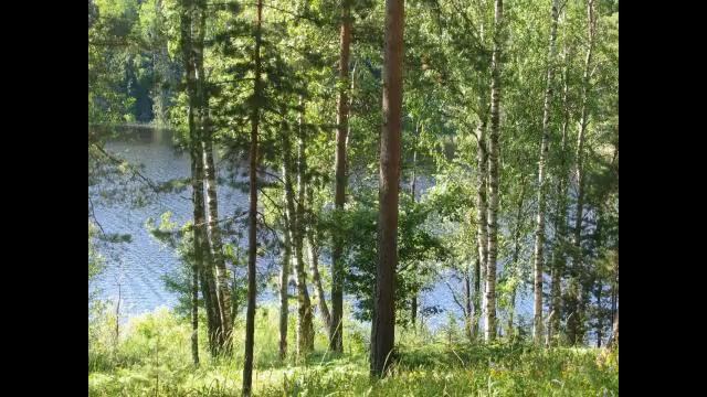 Теплый кирпичный двух этажный дом с камином 50... смотреть онлайн