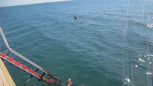 Гимнастика на пляже смотреть онлайн