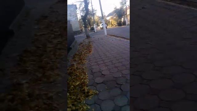 Очень много листьев смотреть онлайн