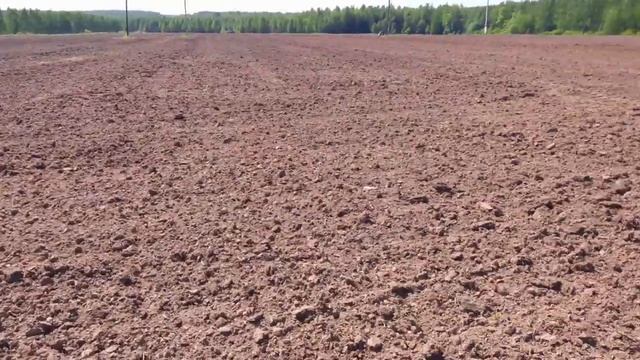 29.05 2020г. Сеем люпин. смотреть онлайн