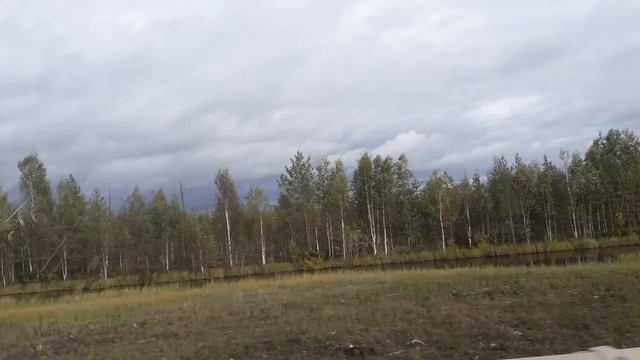 Старый лес смотрел на нас... Природа Архангельской области! смотреть онлайн