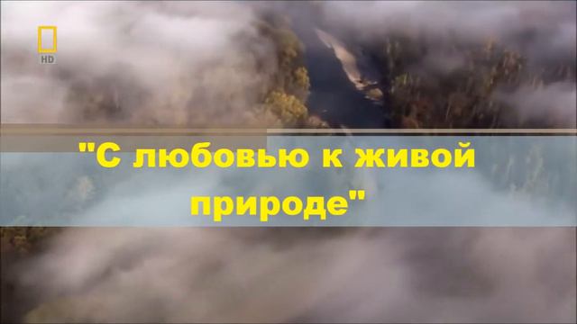 я с книгой открываю мир природы смотреть онлайн