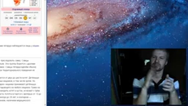 Гепард — Википедия смотреть онлайн