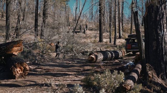 Snow Camping Goat Mountain MNF | Down Trees Removal, Flat Tire, River Crossings смотреть онлайн