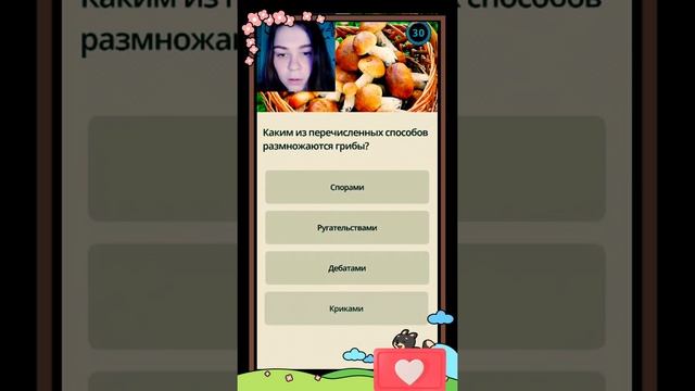QuizzLand| Отвечаю на вопросы викторины смотреть онлайн