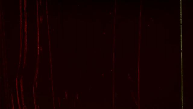 ? DESCARGA gratis【BURNING THIRST】【MEGA】II GAMAUI XD смотреть онлайн