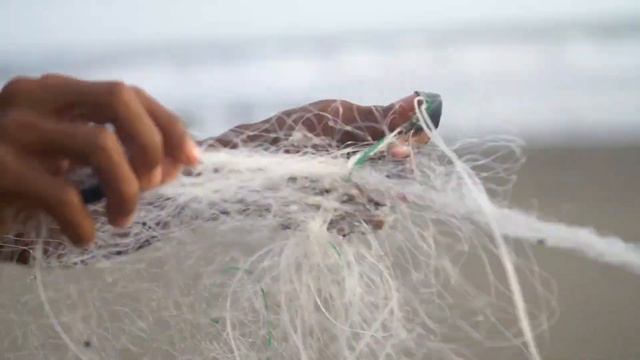 Ocean - A Documentary - TheCueTube Score by Jan Ziebolz смотреть онлайн