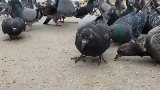 VLOG Mudanya Муданья Бурса Турция смотреть онлайн