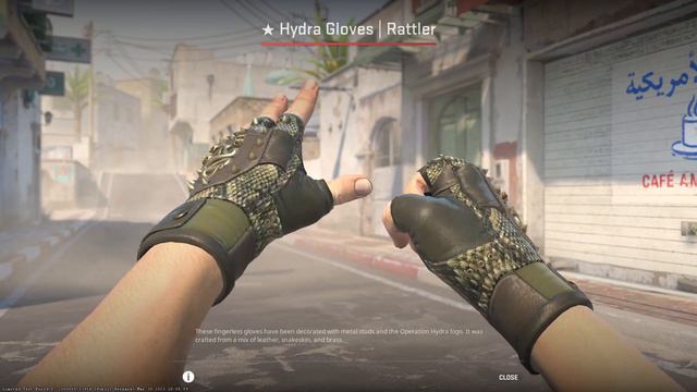 CS2 | ALL OPERATION GLOVES SHOWCASE (Broken Fang/Bloodhound/Hydra) смотреть онлайн