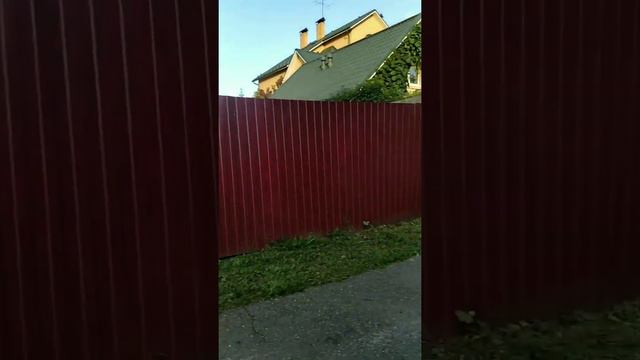 VLOG:Прогулка перед сном/вечер/дача смотреть онлайн