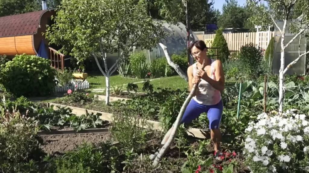 6 соток 27 июня 2024 года. Хроника.