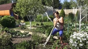 6 соток 27 июня 2024 года. Хроника.