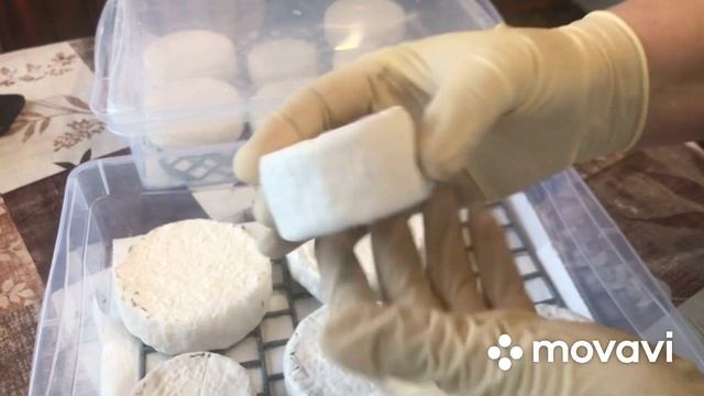 Пробуем сыр Валансе. Уход за сыром. смотреть онлайн