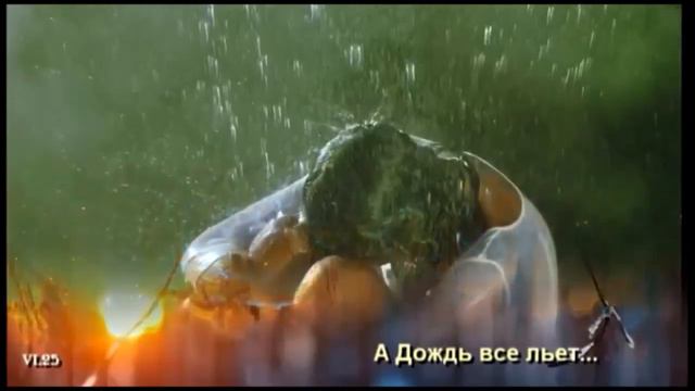 законченный роман поёт Е Ваенга автор ролика В Бондарева смотреть онлайн