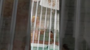 Помоги Перепеленку вылупиться.если проклев хороший, значит НАДО помогать.