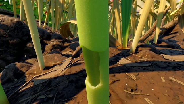 How Grounded Is Becoming The NEW Subnautica In Less Than 2 Minutes смотреть онлайн