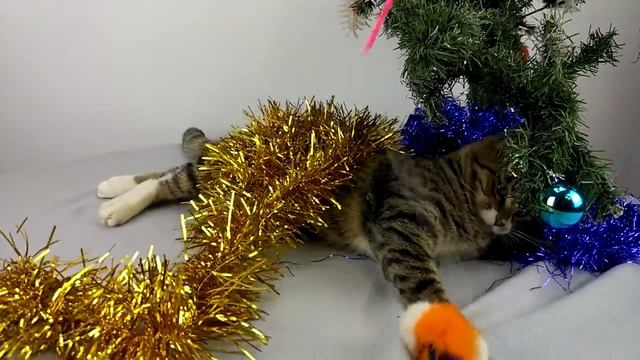 КОТ УРОНИЛ ЁЛКУ | КОТ ТИГРА ПОЗДРАВЛЕНИЕ С НОВЫМ 2018 ГОДОМ | ГОД ЖЕЛТОЙ СОБАКИ смотреть онлайн