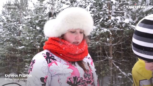 В одной упряжке с хаски: нарты смотреть онлайн