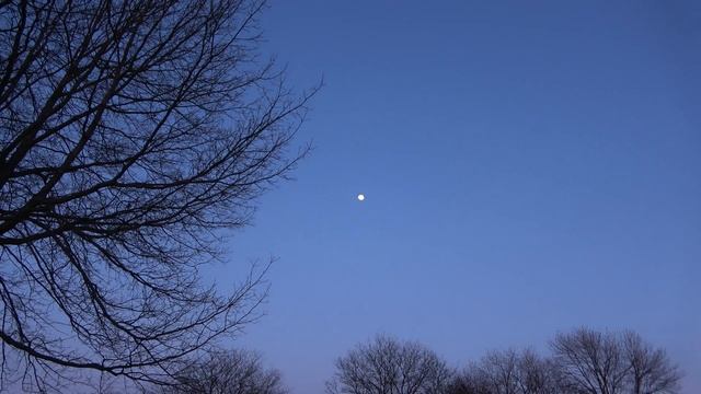Sony FDR-AX53 4k Zoom Test on Moon смотреть онлайн