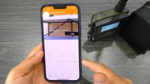 Фотоловушка 4G 8mp с БЕСПЛАТНЫМ облачным хранилищем!!!