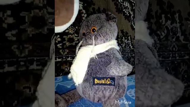 Басик худеет / Занимается физкультурой