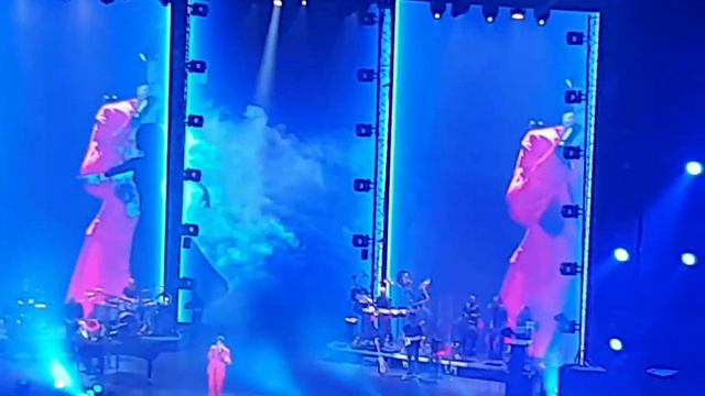 Димаш. Любовь уставших лебедей