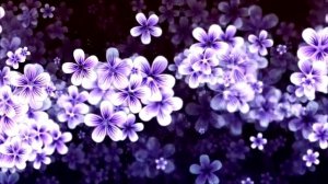 Футаж Видеофон Сиреневые цветы