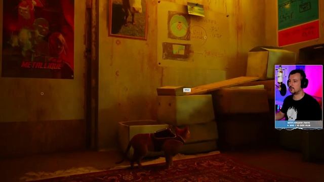 [4K] Stray прохождение на русском ? Стрей полное прохождение и обзор игры смотреть онлайн