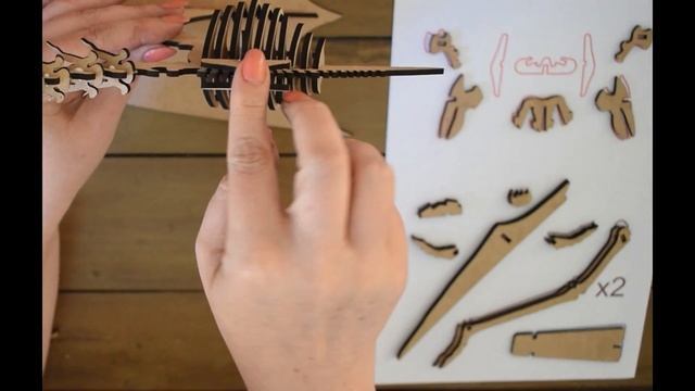 DINO   Pterodactyl - Subscription Box