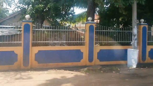 Colombo to Chilaw, Sri Lanka смотреть онлайн