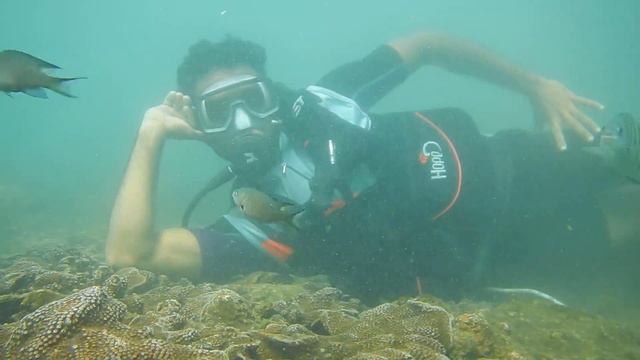 Malvan scoba dayving смотреть онлайн