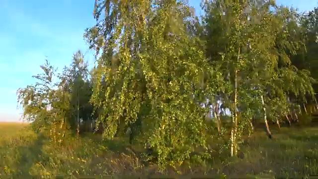 Отдых и Рыбалка на карася летом в красивом месте. смотреть онлайн