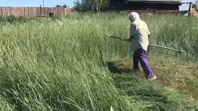 Бэйэтин сааһыгар илии хотуурунан 👍 охсор кырдьаҕас. Өссө да өр холобурга сырыттын🙌🙌🙌🙏 смотреть онлайн