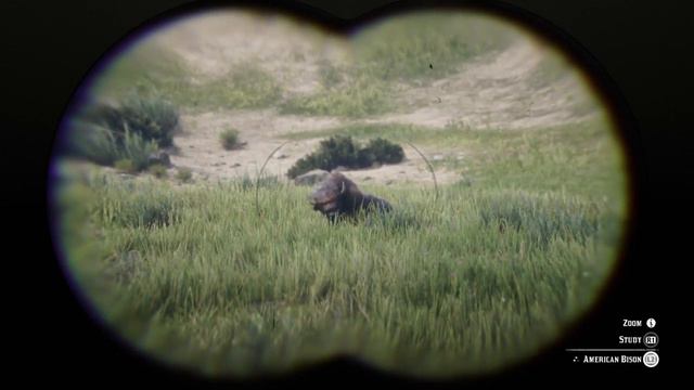 Red Dead Redemption 2 bison смотреть онлайн