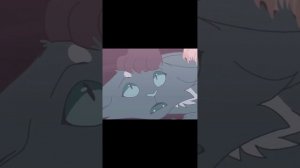 Коты-воители подборка видео с тик-тока 4#