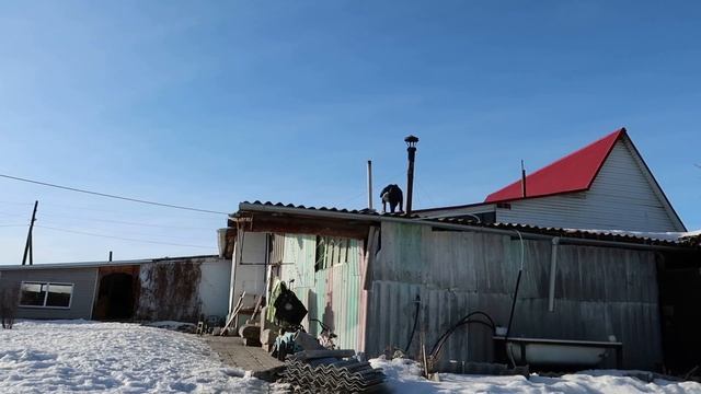 Деревенские будни/ все заняты делом и дети и взрослые/дружба собаки и кота смотреть онлайн