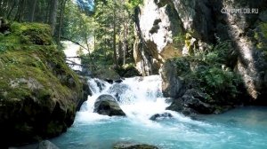 Совместимость: женщина-телец и мужчина-скорпион