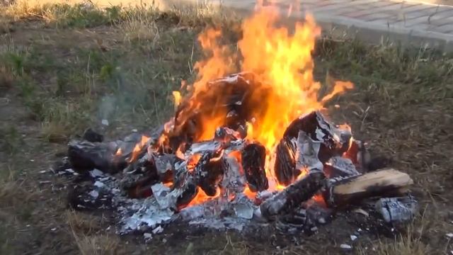 Почему Вайшнава Прана сжигает Бхагавад-гиты?