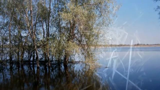 ДАЧА 12 и 18 МАЯ.avi смотреть онлайн