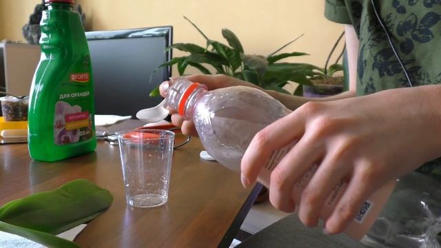ОРХИДЕИ С AVITO ДАЛЬНЕЙШИЕ ДЕЙСТВИЯ | Первый полив орхидей смотреть онлайн