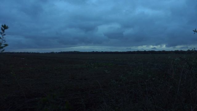 Атмосфера пустоши | Wasteland atmosphere | Звуки ветра и травы | Relax and fall asleep смотреть онлайн