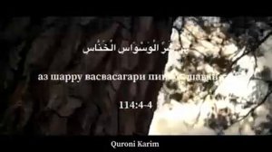 Сурай нос (кул Аузу бирабинос)